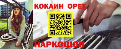 Альфа ПВП Гатчина