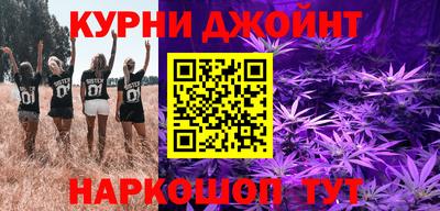 Альфа ПВП Гатчина