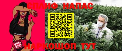 Альфа ПВП Гатчина