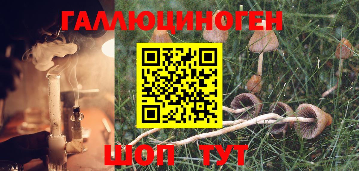 Псилоцибиновые грибы GOLDEN TEACHER Орёл