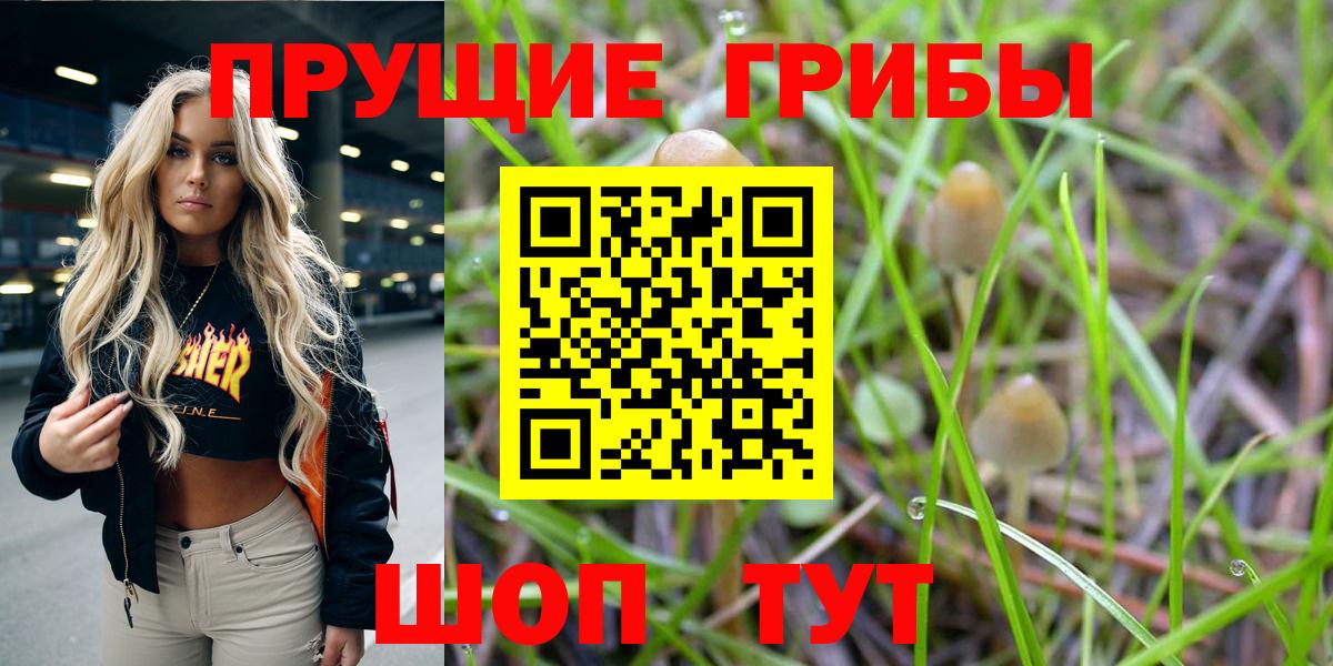 Псилоцибиновые грибы прущие грибы  Галлюциногенные грибы GOLDEN TEACHER  Орёл  Вход с VPN 